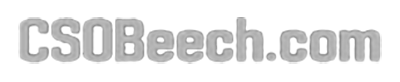 CSO Beach Logo